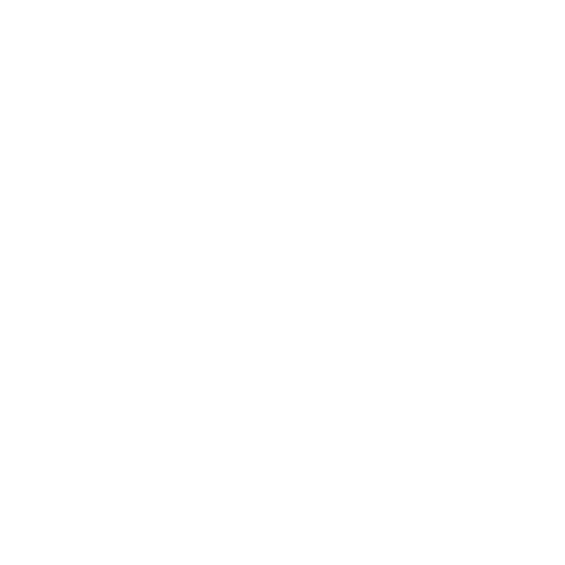 valvula